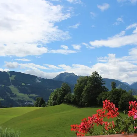 Mountain-view Appartement *